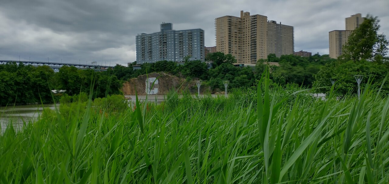 Mapping Ecotourism in NYC Poster