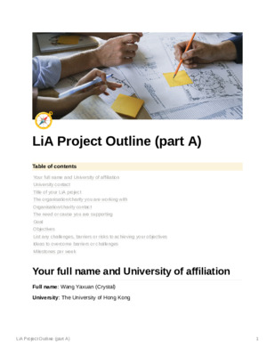 LiA project outline