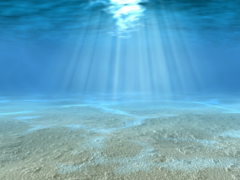 Shallow seas helped mitigation of past carbon dioxide emissions by storing significant amount of organic carbon 