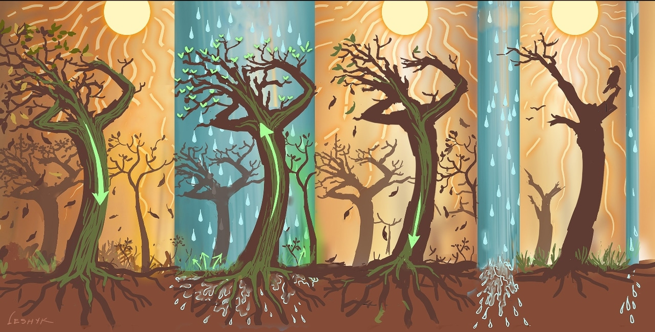 Patterns of drought recovery