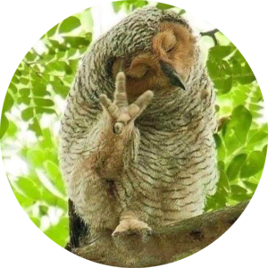 Go to the profile of chris Gage