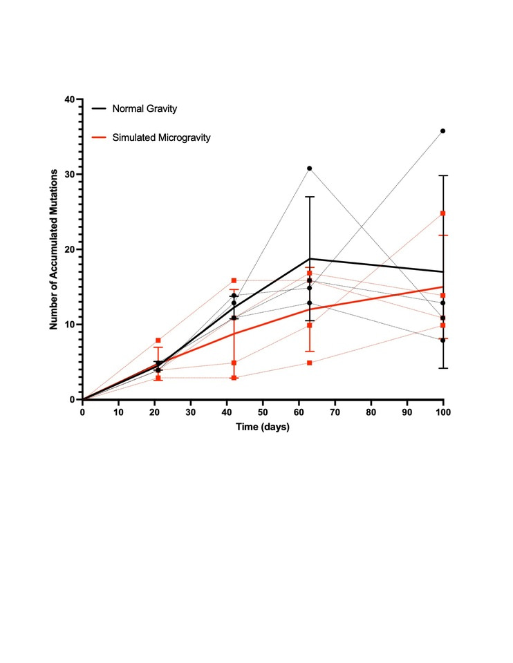Should you eat sugar in space? 