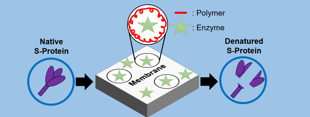 Membrane Mask with Enzyme-Coating for Capture and Deactivation of SARS-CoV-2 Spike Glycoprotein