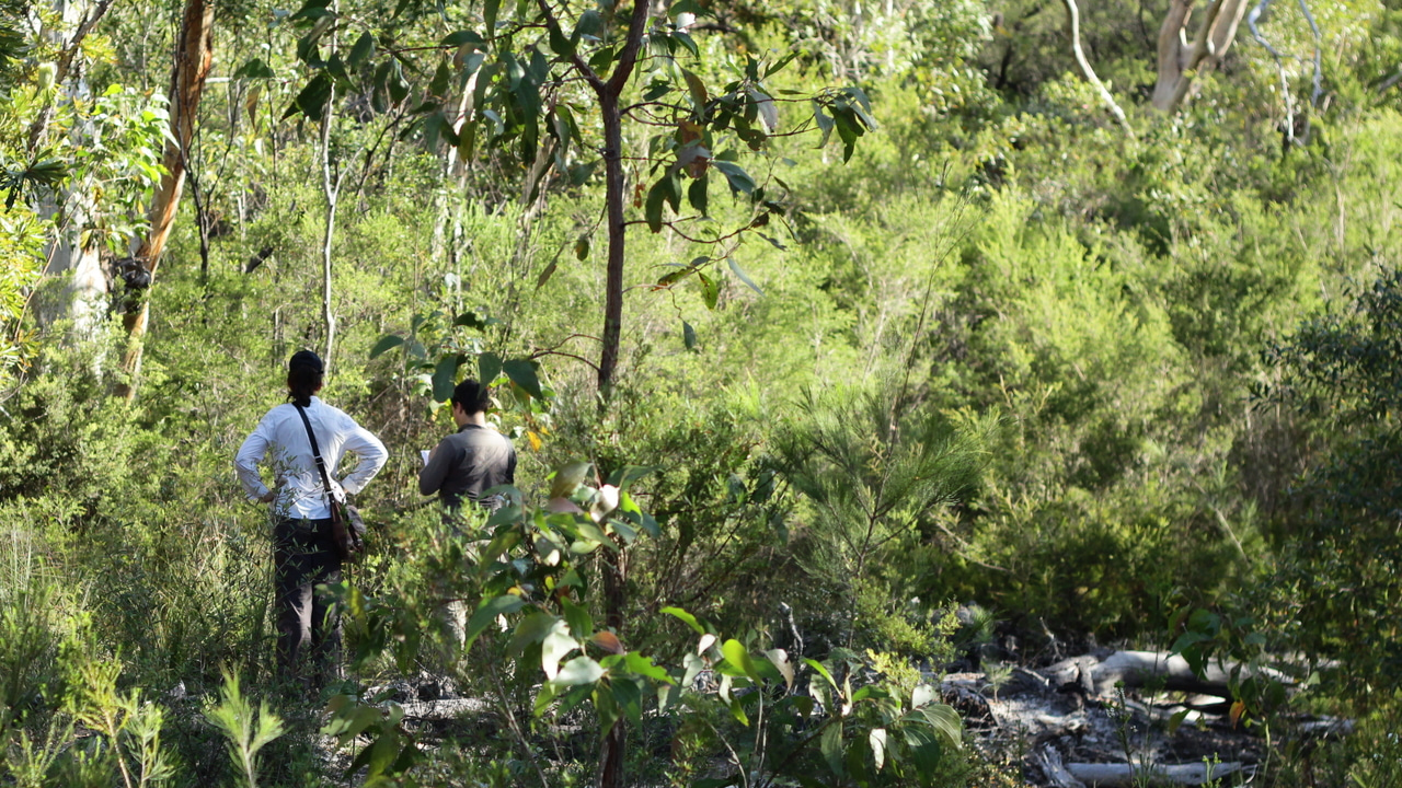 Conservation of microbes in plant roots: potential gains for agriculture
