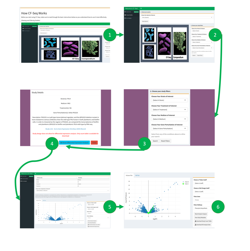 CF-Seq: an accessible web application for uncovering biological insights in public gene expression datasets