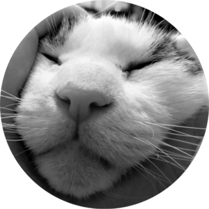 Go to the profile of Aaron Hamai