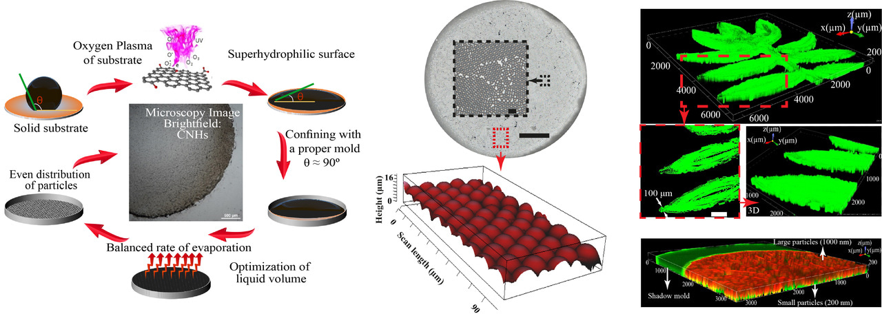 Self-assembly of highly ordered micro- and nanoparticle deposits