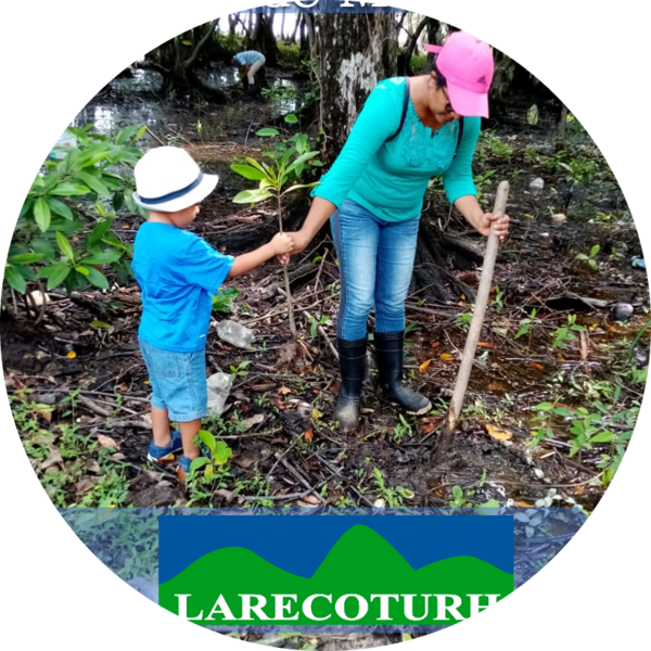 Go to the profile of Gerardo Yanes