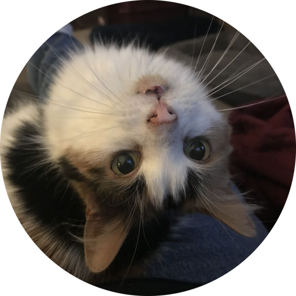 Go to the profile of David Madore