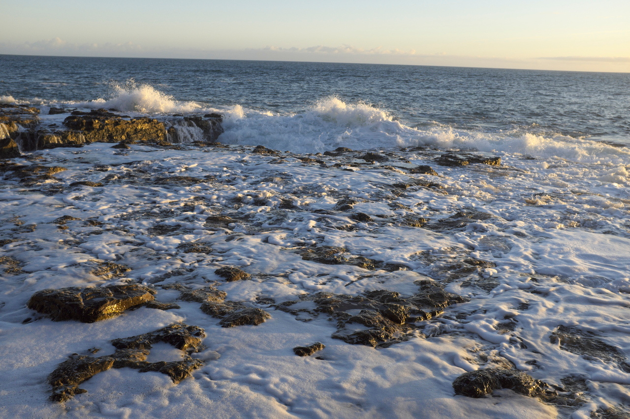 Marine Protected Areas: Podcasts from the Marine Biological Association