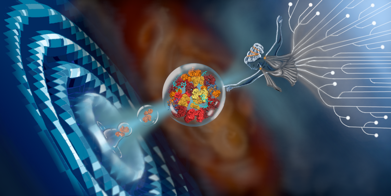 METIS: a versatile active learning workflow for every synthetic biologist