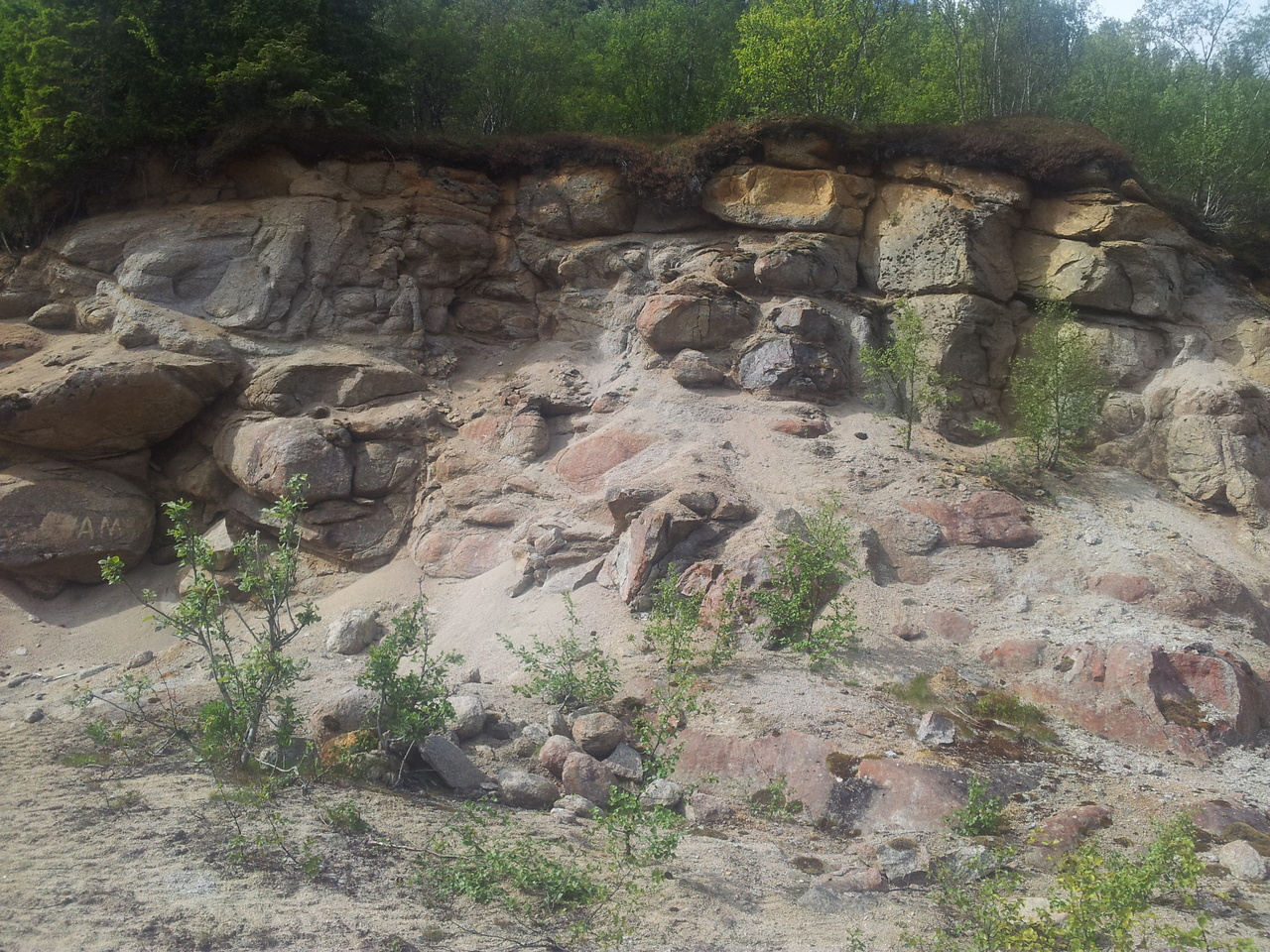 Arctic clues on hothouse climate