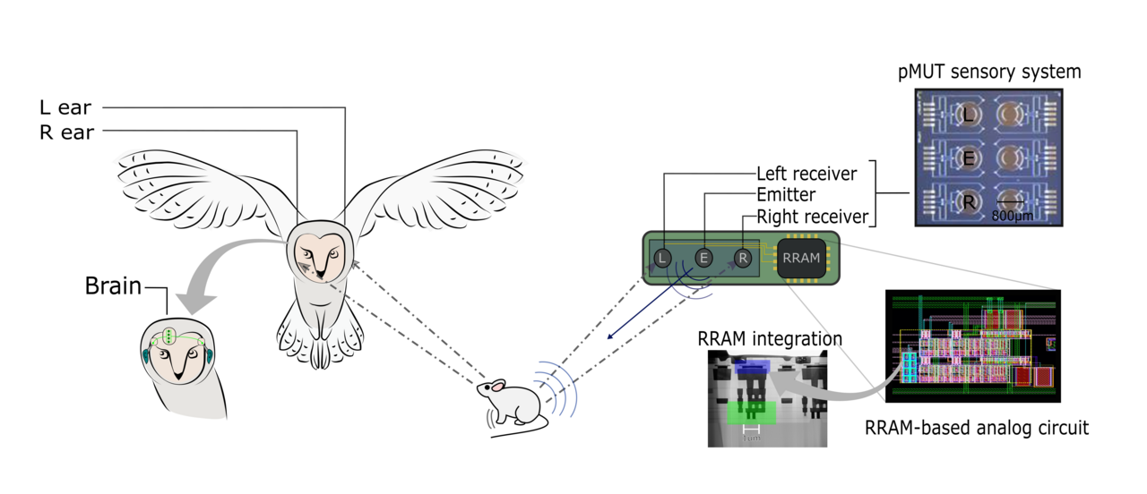 Neuromorphic object localization using resistive memories and ultrasonic transducers