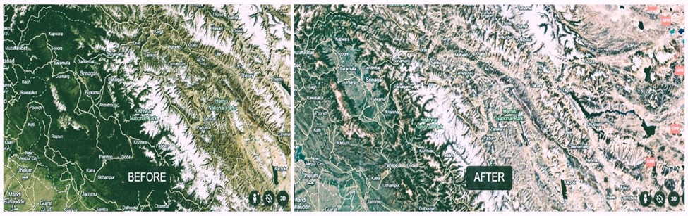 The Silent Green Guardians & Fragile Nature