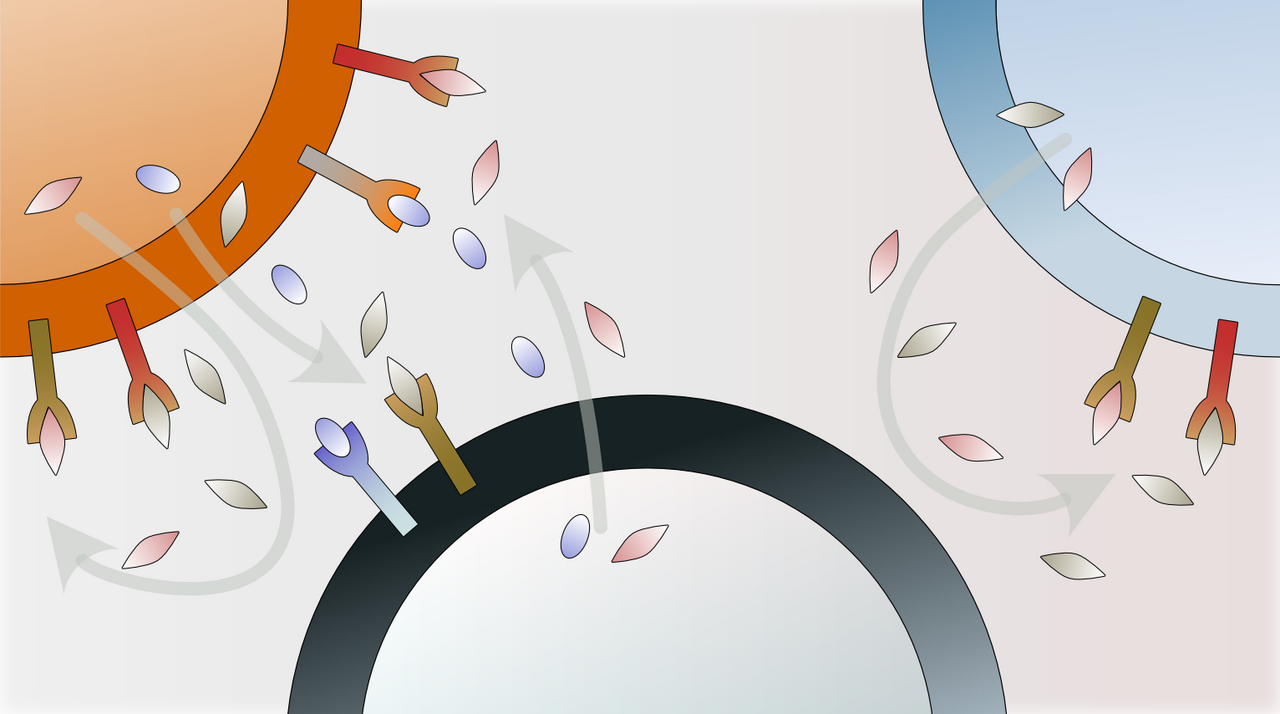 Tensor-cell2cell: Unraveling the complex cell-cell communication patterns driving phenotype