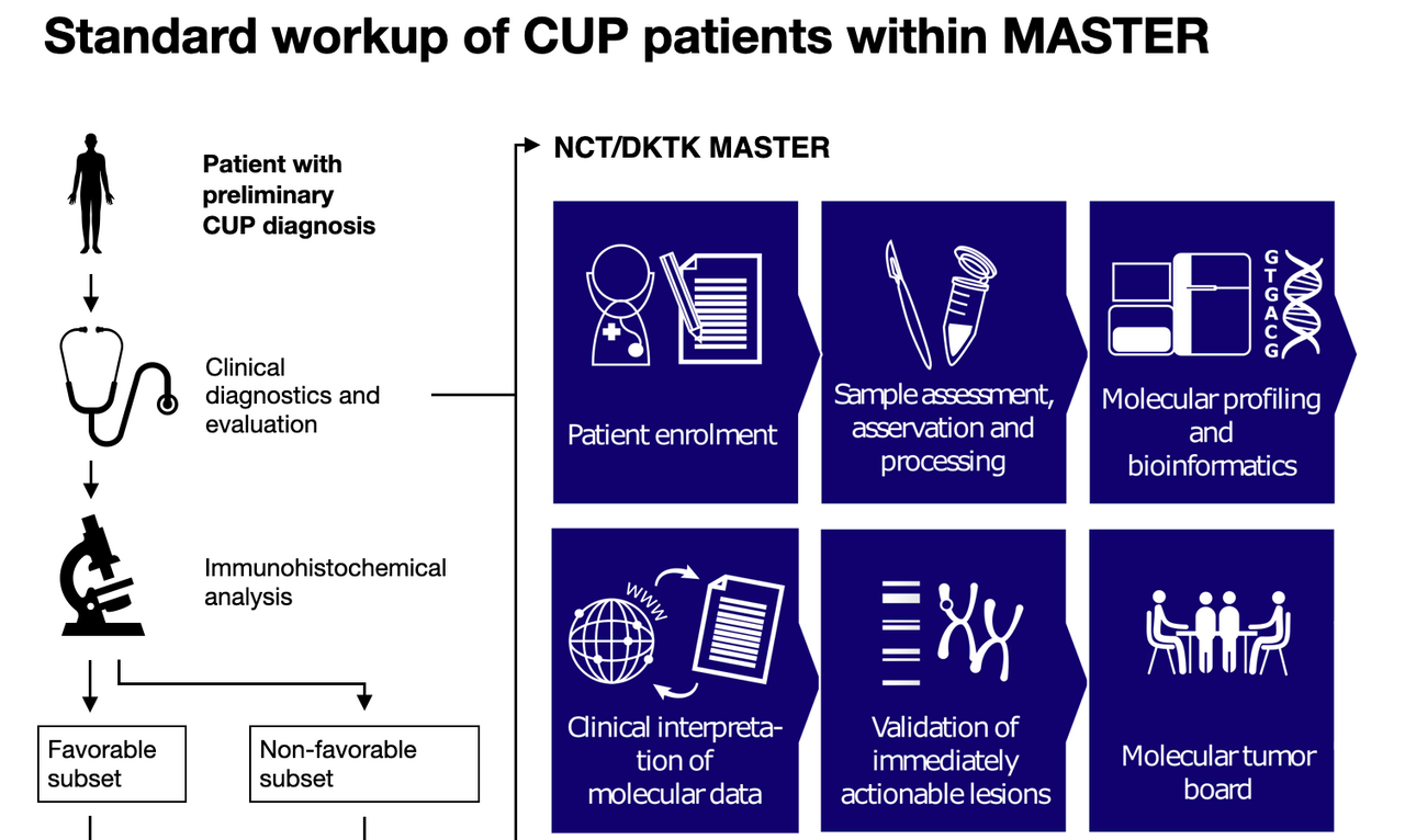 Behind cancer of unknown primary: Molecularly-informed stratification and treatment