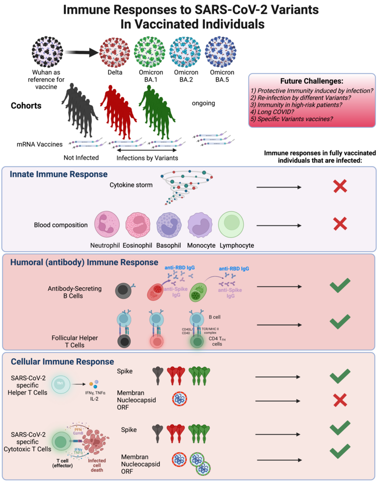 COVID-19 vaccines and new variants of concern, the end (of the pandemic) is the beginning