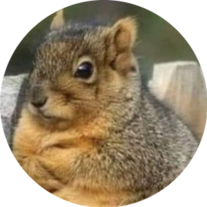 Go to the profile of Lindsey Smith