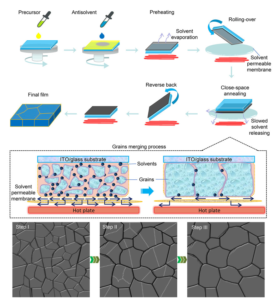 A universal close-space annealing strategy toward high-quality perovskite absorbers enabling efficient all-perovskite tandem solar cells
