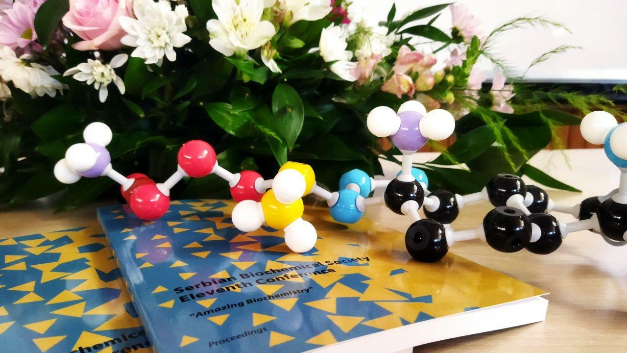 THE XI SBS CONFERENCE CONCLUDING REMARKS