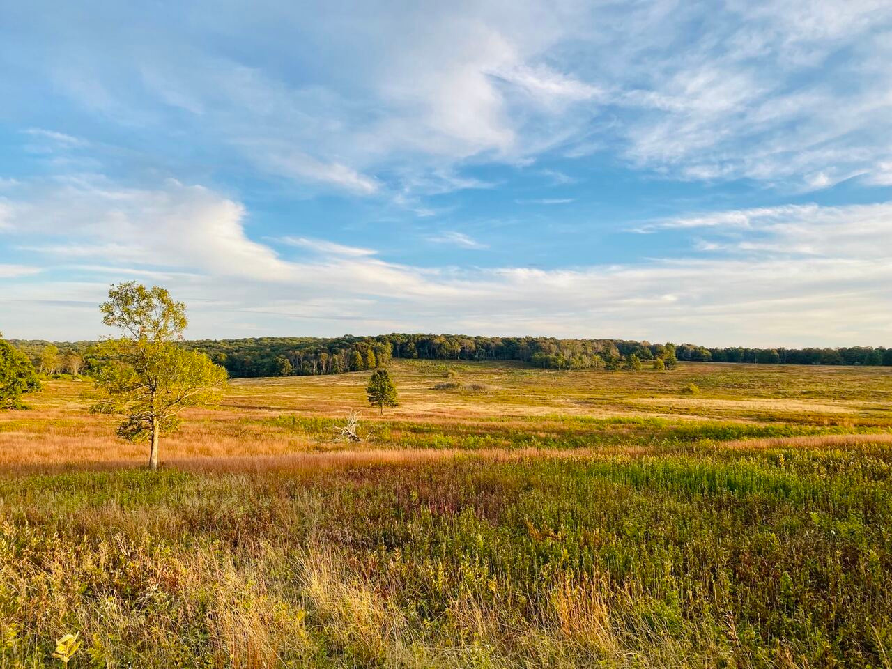 Does biodiversity stabilize real-world ecosystems?