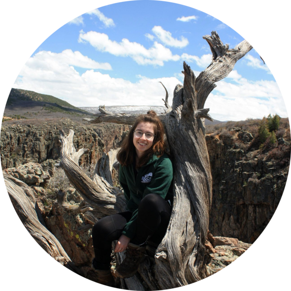 Go to the profile of Helena Parsons