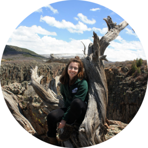 Go to the profile of Helena Parsons