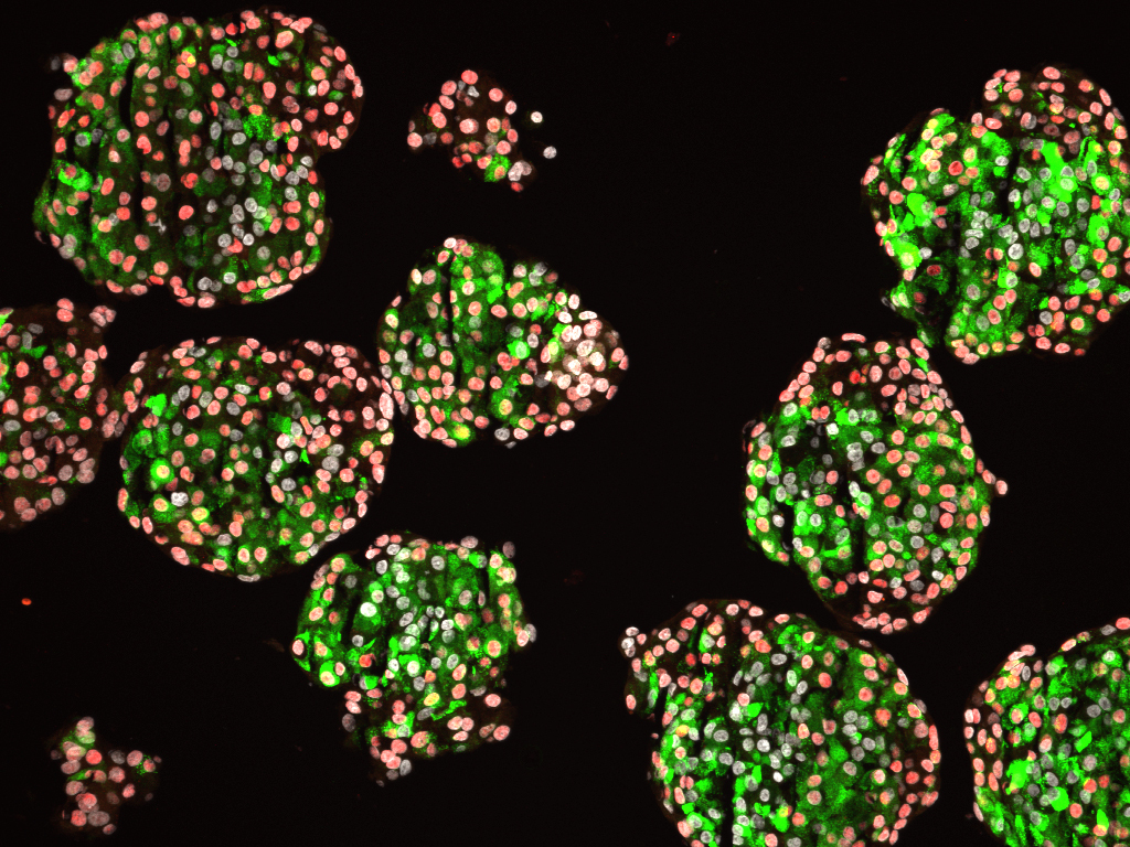 Top 3 Behind the Papers from February