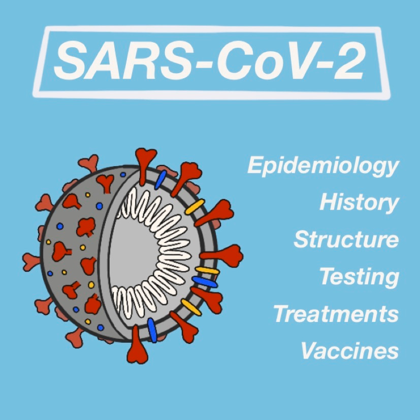 A Guide to COVID-19: a global pandemic caused by the novel coronavirus SARS-CoV-2