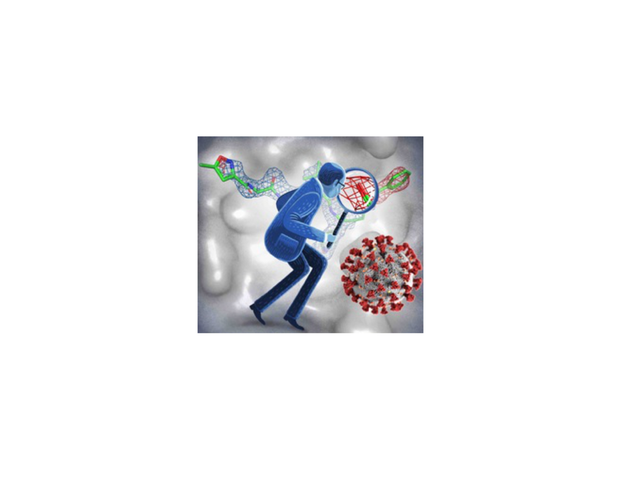 Sharpening SARS‐CoV‐2 protein structures for drug design: focus on ligands