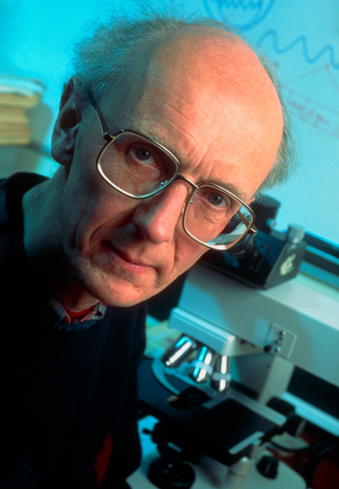Obituary: Remembering apoptosis pioneer Andrew Wyllie