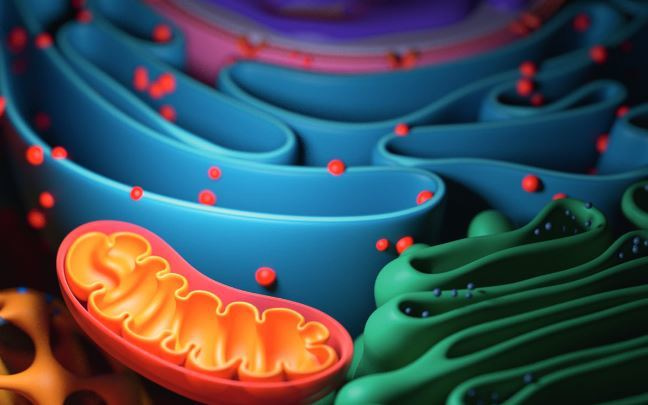 The FEBS Journal Special Issue on ER Stress in Disease