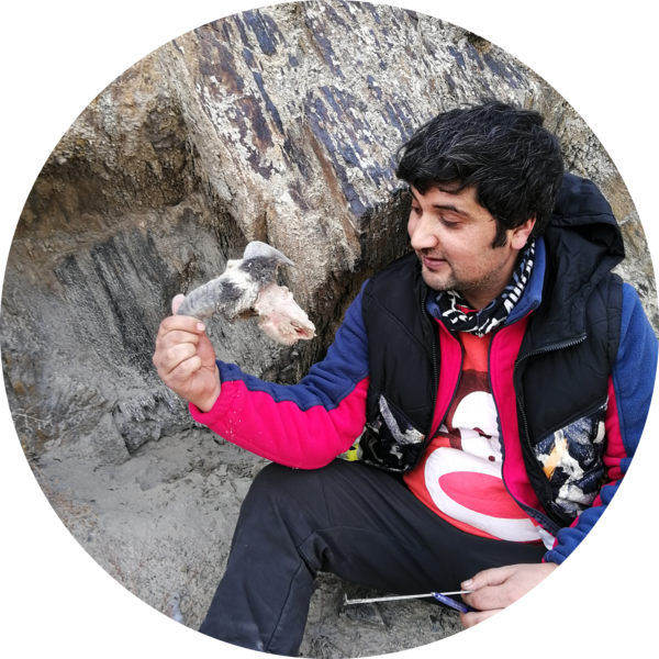 Go to the profile of Muhammad Zaman