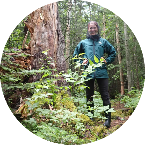 Go to the profile of Suzanne