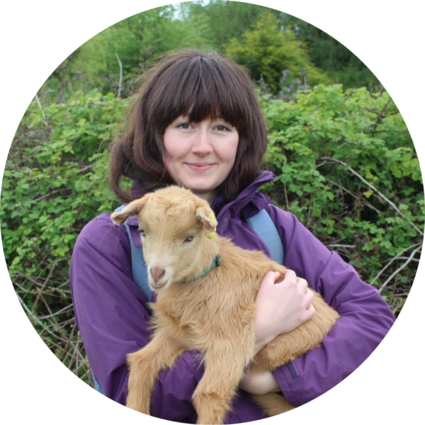 Go to the profile of mollytoal@googlemail.com