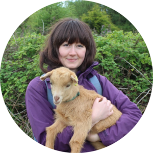 Go to the profile of mollytoal@googlemail.com