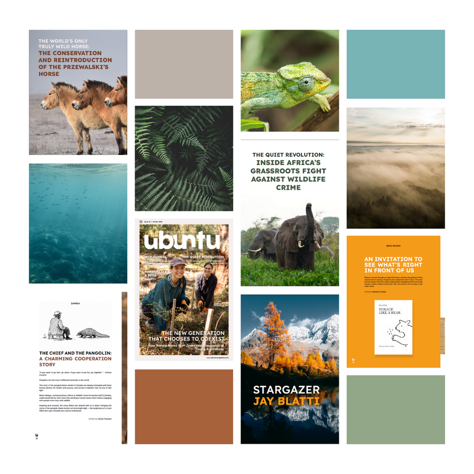 Issue 16 of Ubuntu Magazine just launched, thanks to you!