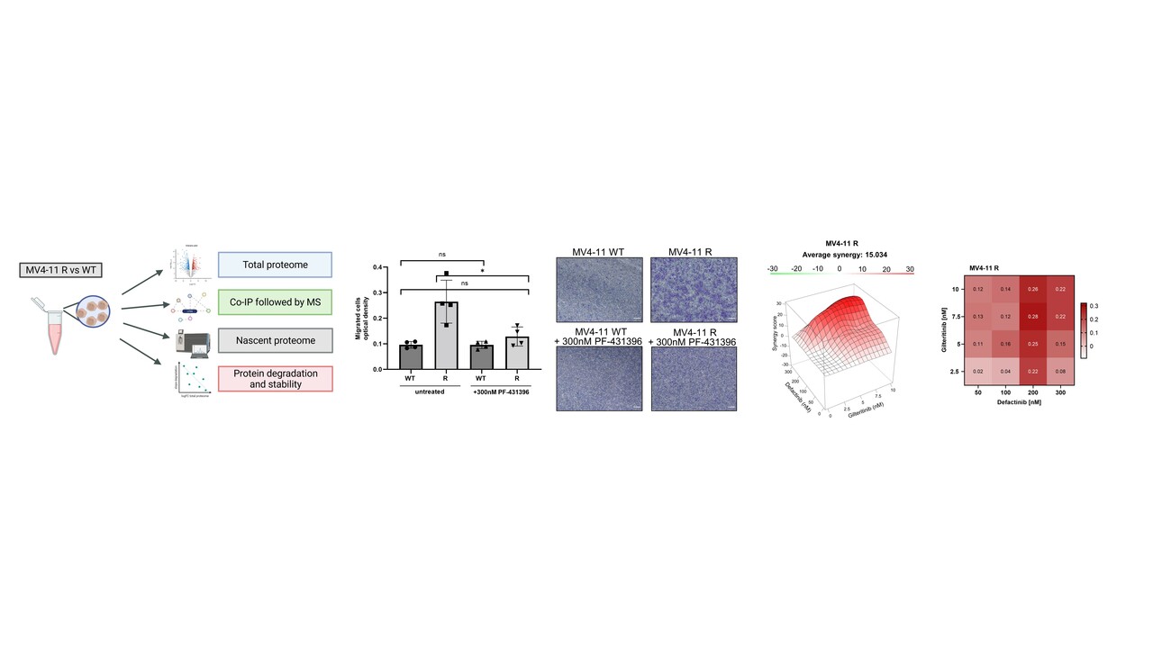 Protein tyrosine kinase 2b inhibition reverts niche-associated resistance to tyrosine kinase inhibitors in AML
