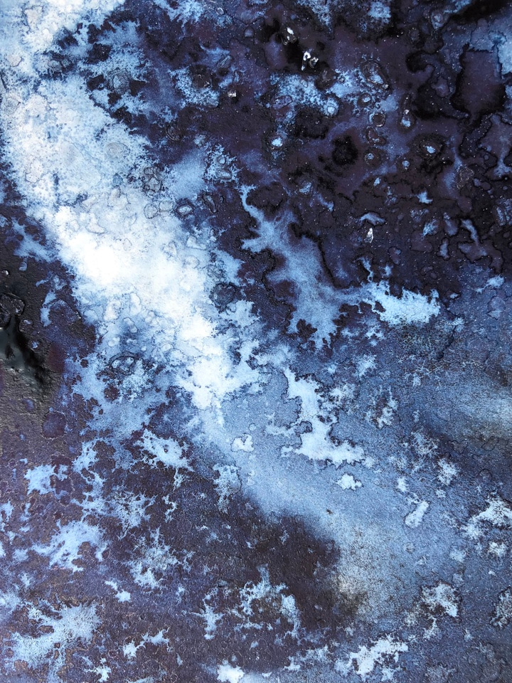 SeqCode: Towards a unifying system for the naming of cultured and uncultured prokaryotes