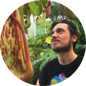 Go to the profile of Nickolaus Boldt