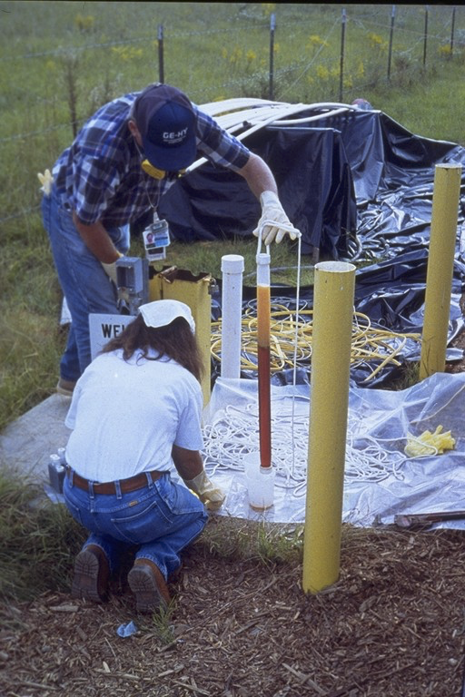 The DNAPL can fall far from the tree