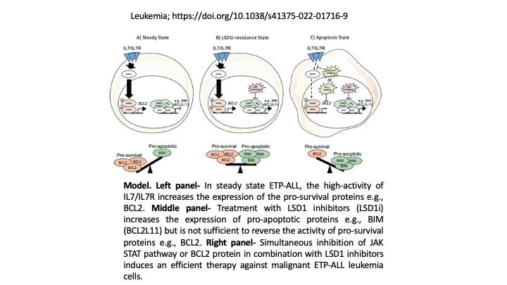 ZEB2 controls the balance of Apoptosis Factors in ETP-ALL.