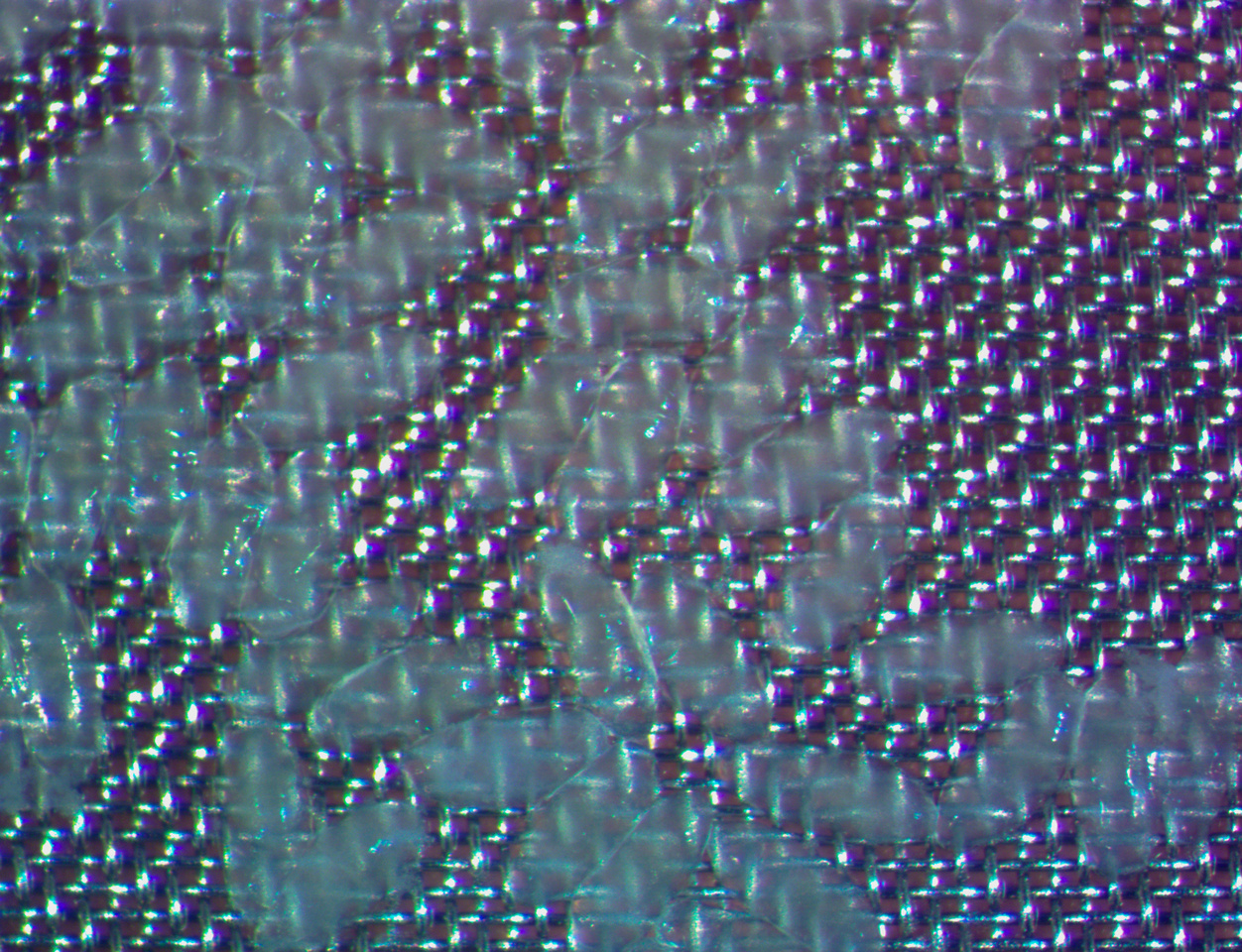 Surviving suspended animation: a rapid ride across no man’s land