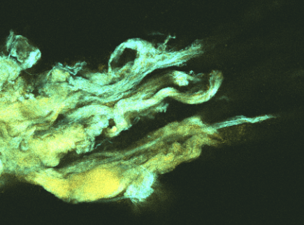 Living Material Fuses Function and Scale