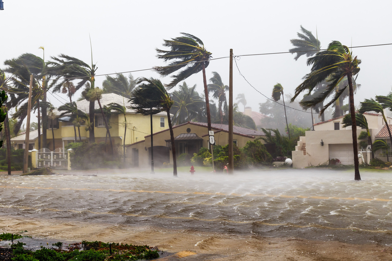 Bringing together academic tropical cyclone risk modelling efforts