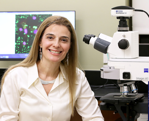 Go to the profile of Ozlem Yilmaz, DDS, PhD, Medical University of South Carolina