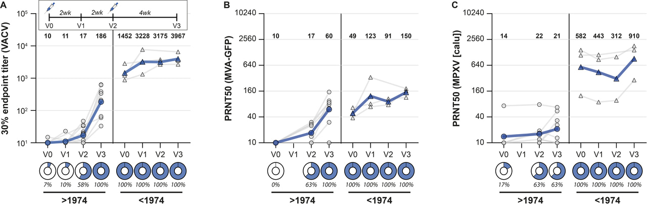 Low levels of monkeypox virus neutralizing antibodies after MVA-BN vaccination