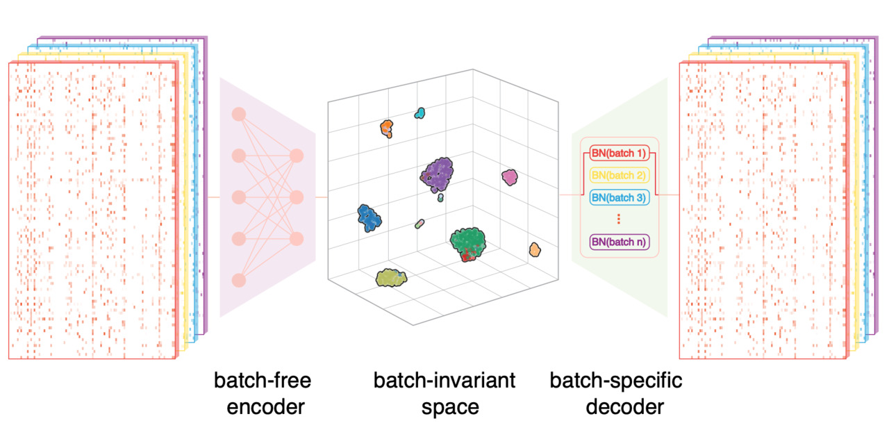 SCALEX behind the paper