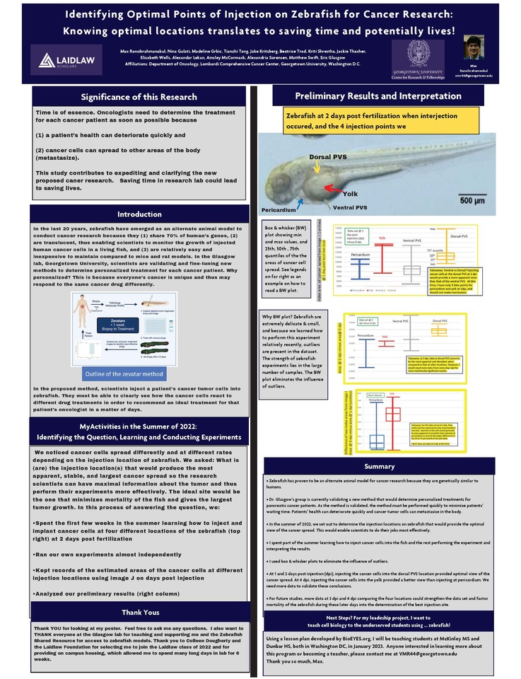 Summer 2022 Poster: Zebrafish Can Potentially Save Lives!