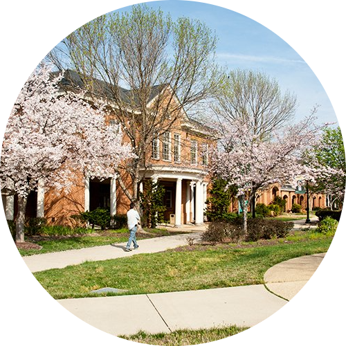 Go to the profile of Tony Bates